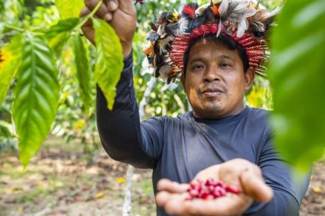 MDS contou com os estados para mapear demandas e mobilizar populações indígenas a participarem do PAA - Foto: Divulgação: Funai / MPI