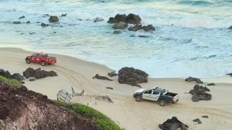 Foto: Polícia Militar/Divulgação