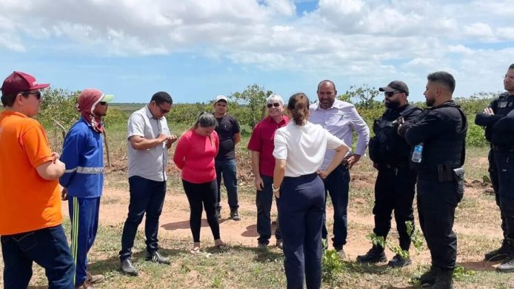 Projeto utiliza mão de obra carcerária na produção de mudas de cajueiro / Foto: Seap