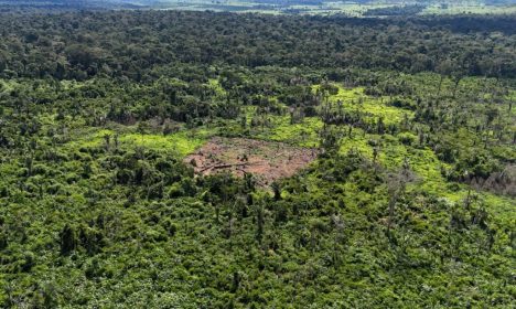 Karipuna de Rondônia notam indícios de aumento de invasores em sua terra. Foto: Lideranças karipuna/ Divulgação