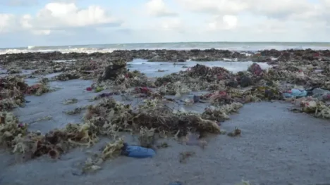 Brasil lança por ano 1,3 milhão de toneladas de plástico no oceano - Foto: José Aldenir/Agora RN