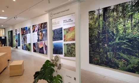 FOTO DE ARQUIVO - Exposição do Pico da Neblina. Foto: Parque Nacional da Floresta Negra da Alemanha/Divulgação